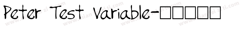 Peter Test Variable字体转换